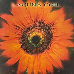 Rolling Stones Forty Licks CD One LooseCD Bundle Deal